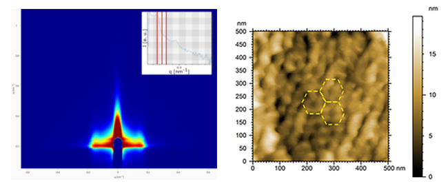 Рис. 1: 2D рисунок GISAXS с горизонтальным 1D разрезом (слева) и изображением топографии AFM (справа) нанопористой тонкой пленки ПЭ/ПЭГ